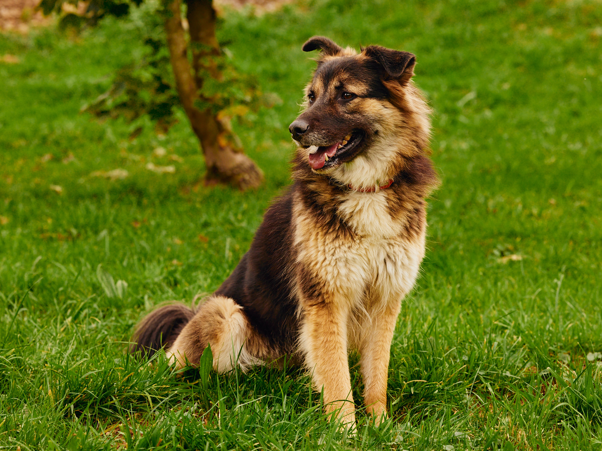 Lizzie_M4A7668_Annabelle_Felusch_Sept. 29 2024.jpg Lizzie_M4A7668_Annabelle_Felusch_Sept. 29 2024.jpg